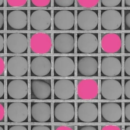 Les_outils_de_protection_de_votre_concept