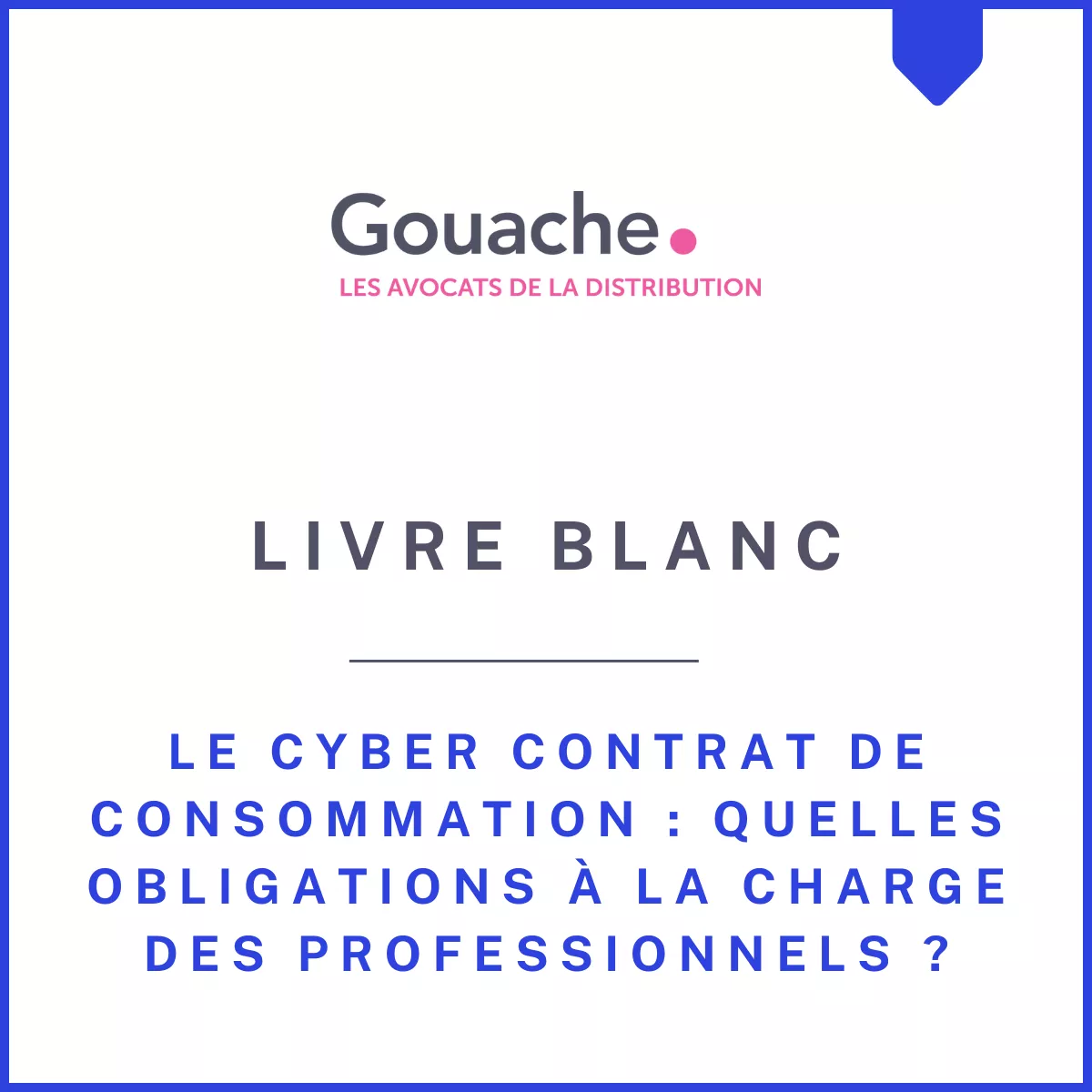 Le cyber contrat de consommation