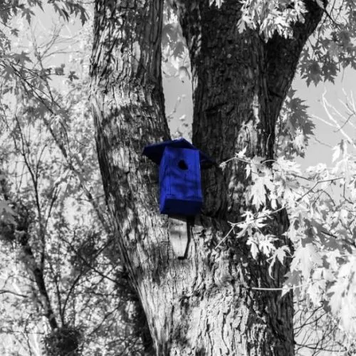 assurer_la_transition_envrionnementale