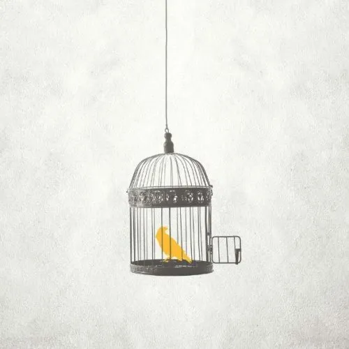 Résiliation du bail commercial