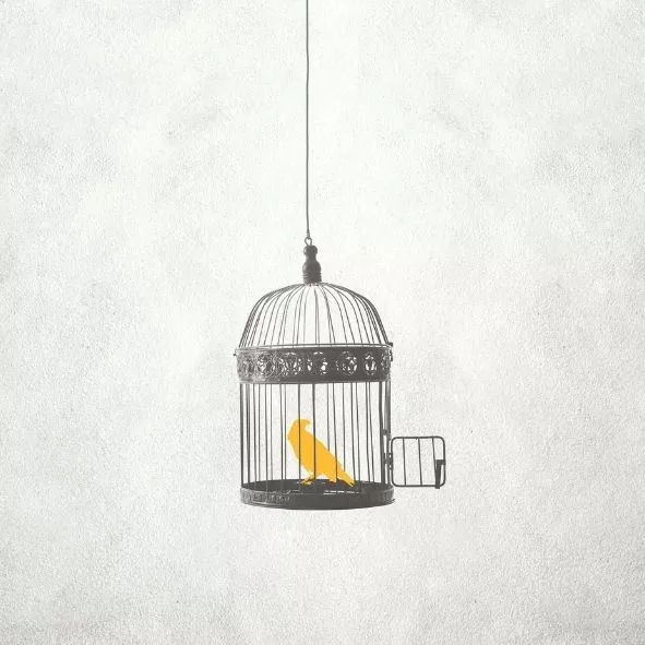 indemnité d'éviction bail commercial
