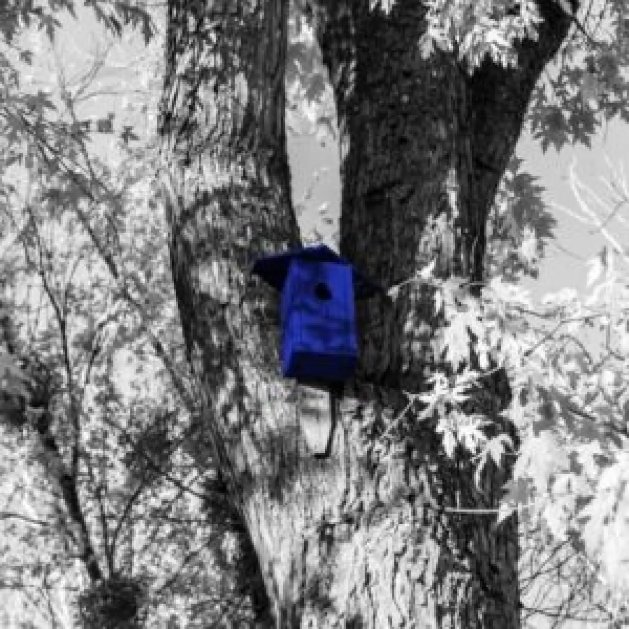 règlement écoconception